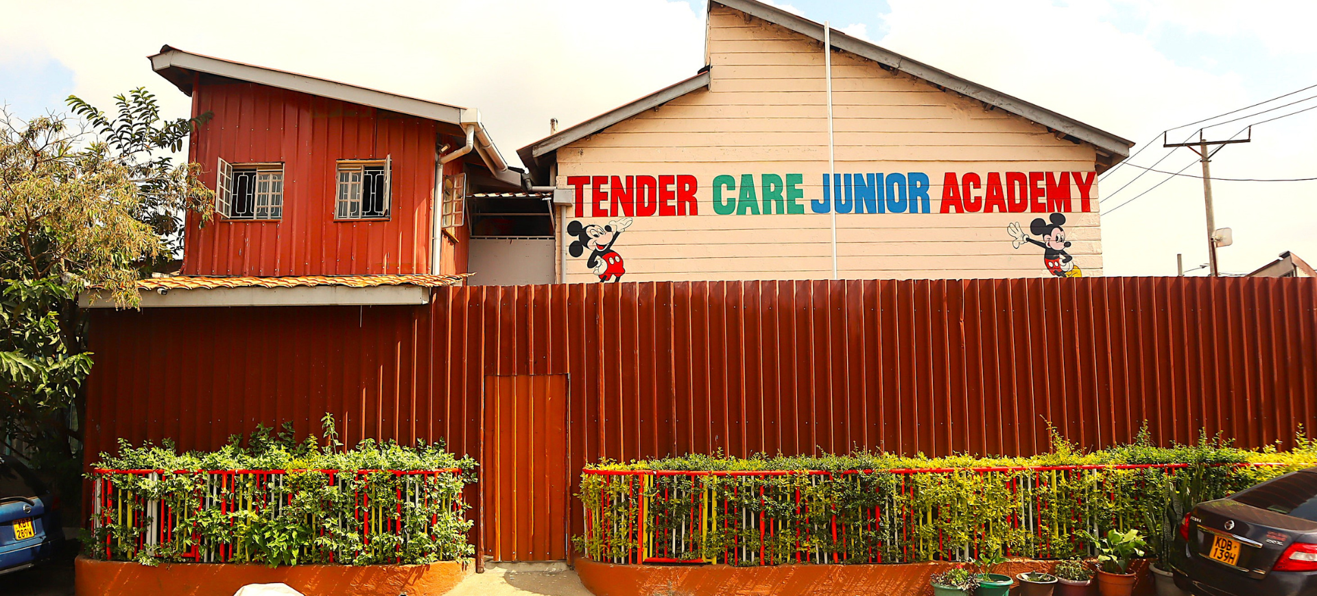 Pre-school to Grade 4